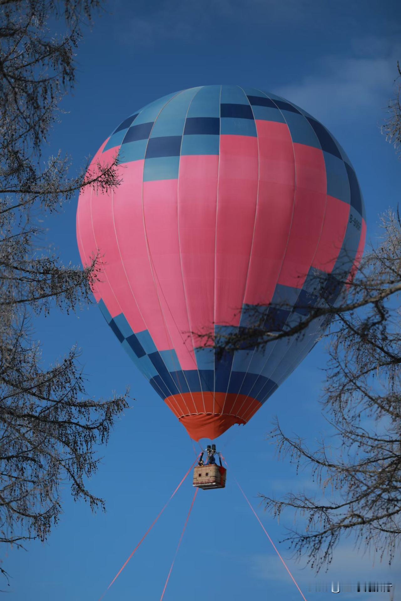 奔赴阿勒泰📍，沉醉喀纳斯的冬日梦境🌊被这片辽阔山野彻底治愈，