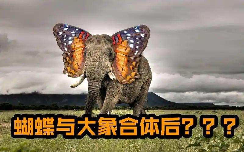 合成生物：下一个百亿赛道的“黑科技”微藻蛋白革命：微藻蛋白可以替代鱼油、牛奶，