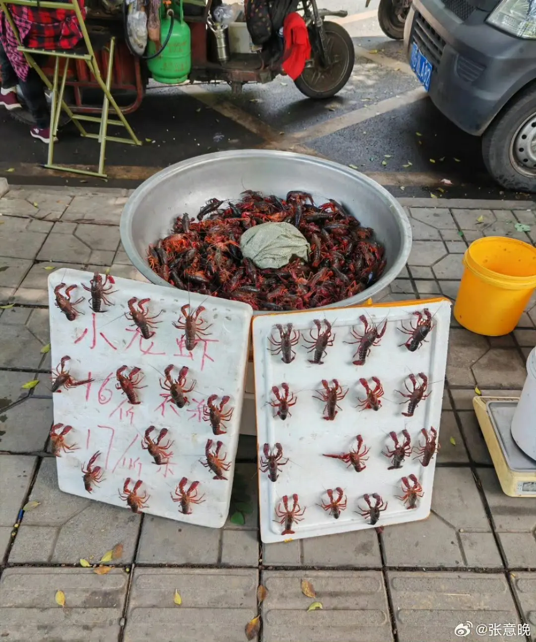 成都卖龙虾的真的很神​
