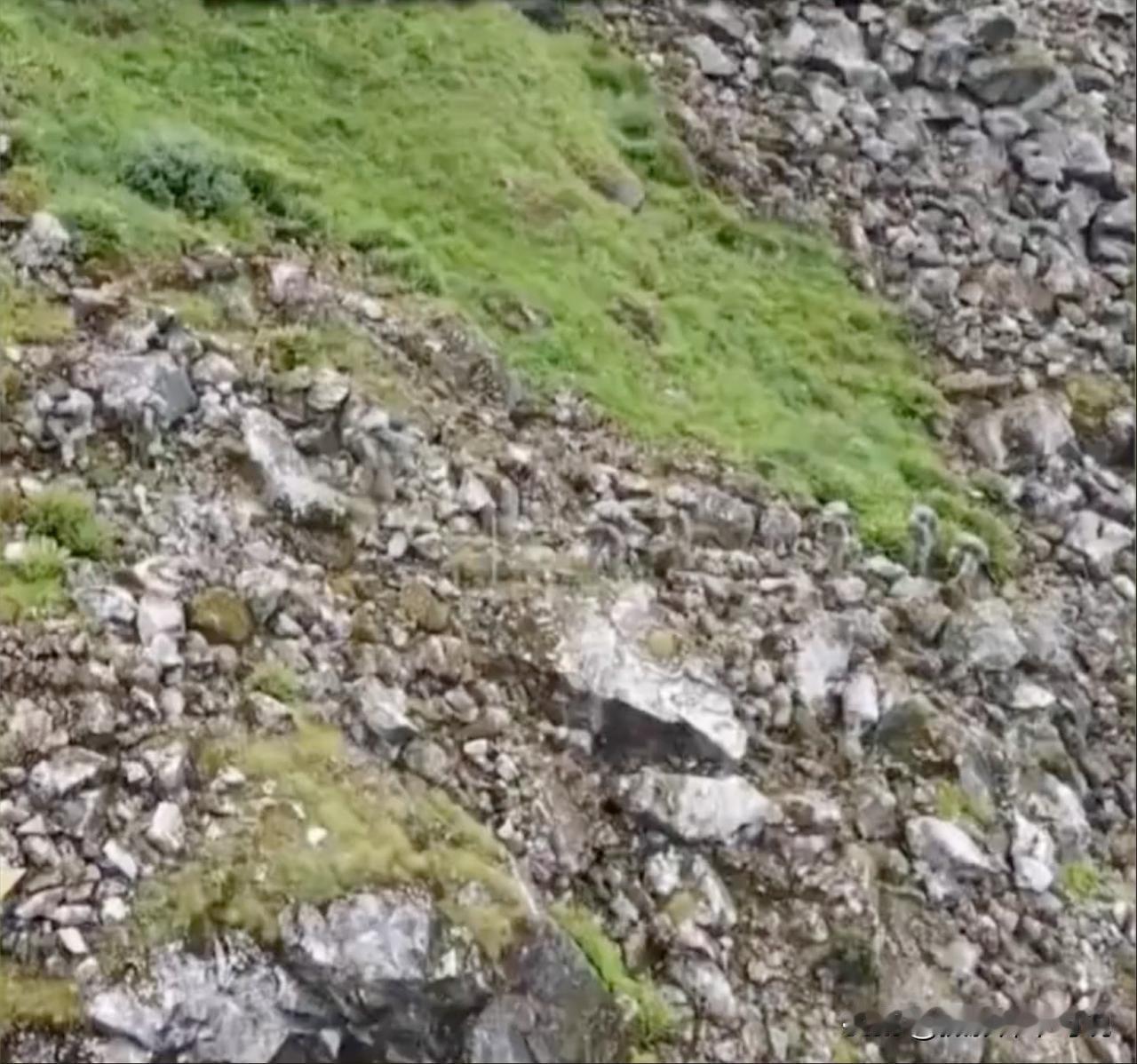 我敢打赌没有一个人能够把图片中的人找出来，更不可能有人能数清楚有多少个人？给你一