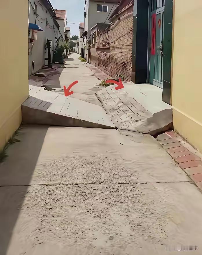 切！很明显，左边这家胜，右边败了！下一次雪就能知道，没有仨小时，上不去这个陡坡！