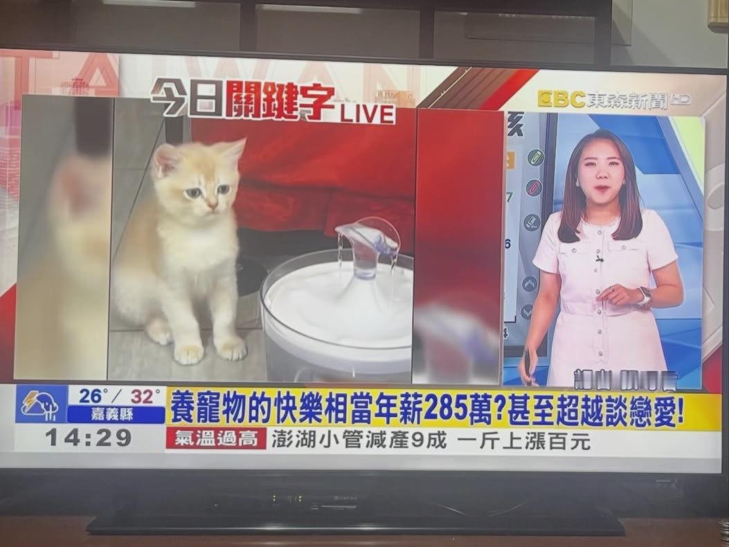 那我没养宠物，我的钱呢？meme​​​
