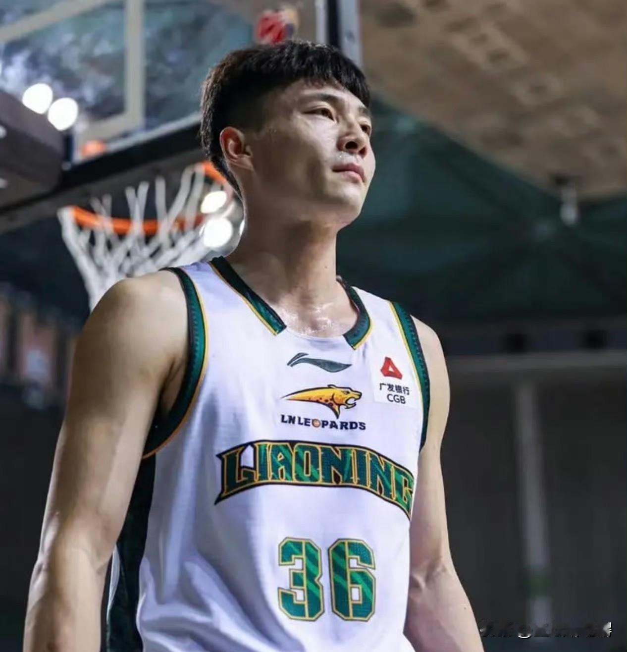 鄢手骐又续约了，他在辽宁男篮基本处于不温不火的状态。在上个赛季，他35.8%的三