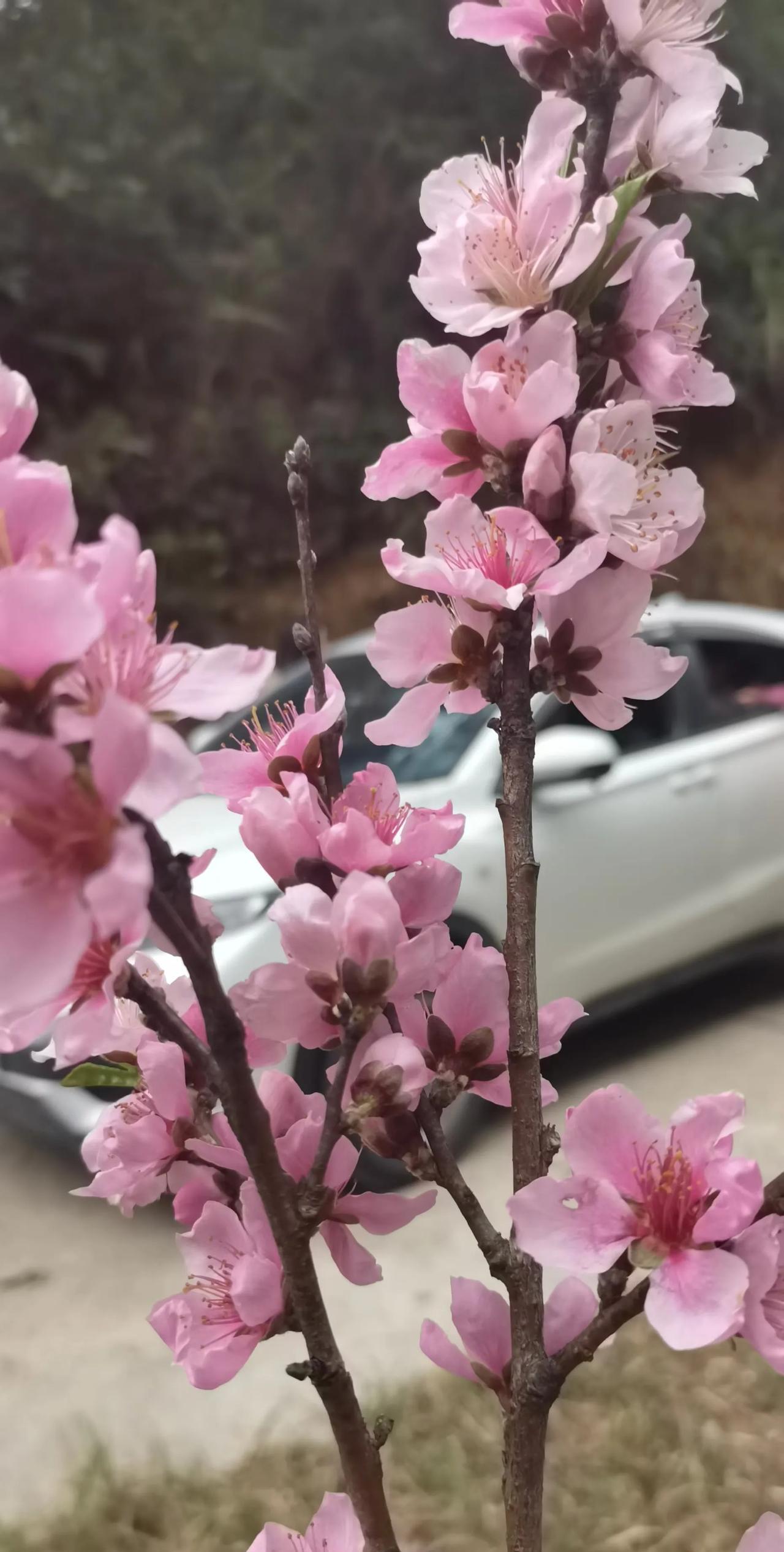 在单位，什么样的女生容易被提拔:1，精致干练，更有机会2，做事有思路，会办事