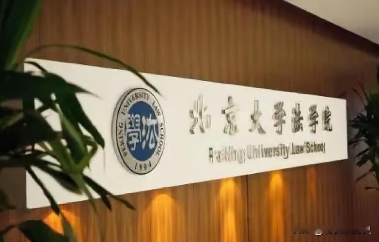 “没有外国资金就没有今天的法学院”，这句话引发的震动，远比一场学术争论更深。它