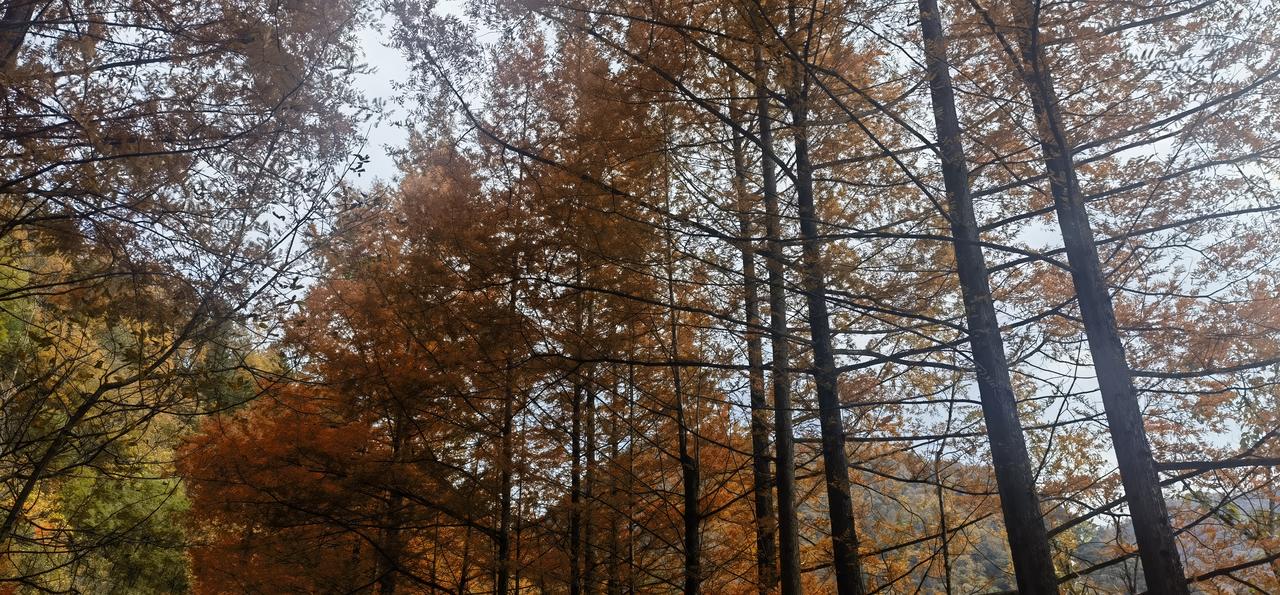 分享手机里随手拍的风景照片留坝.玉皇庙