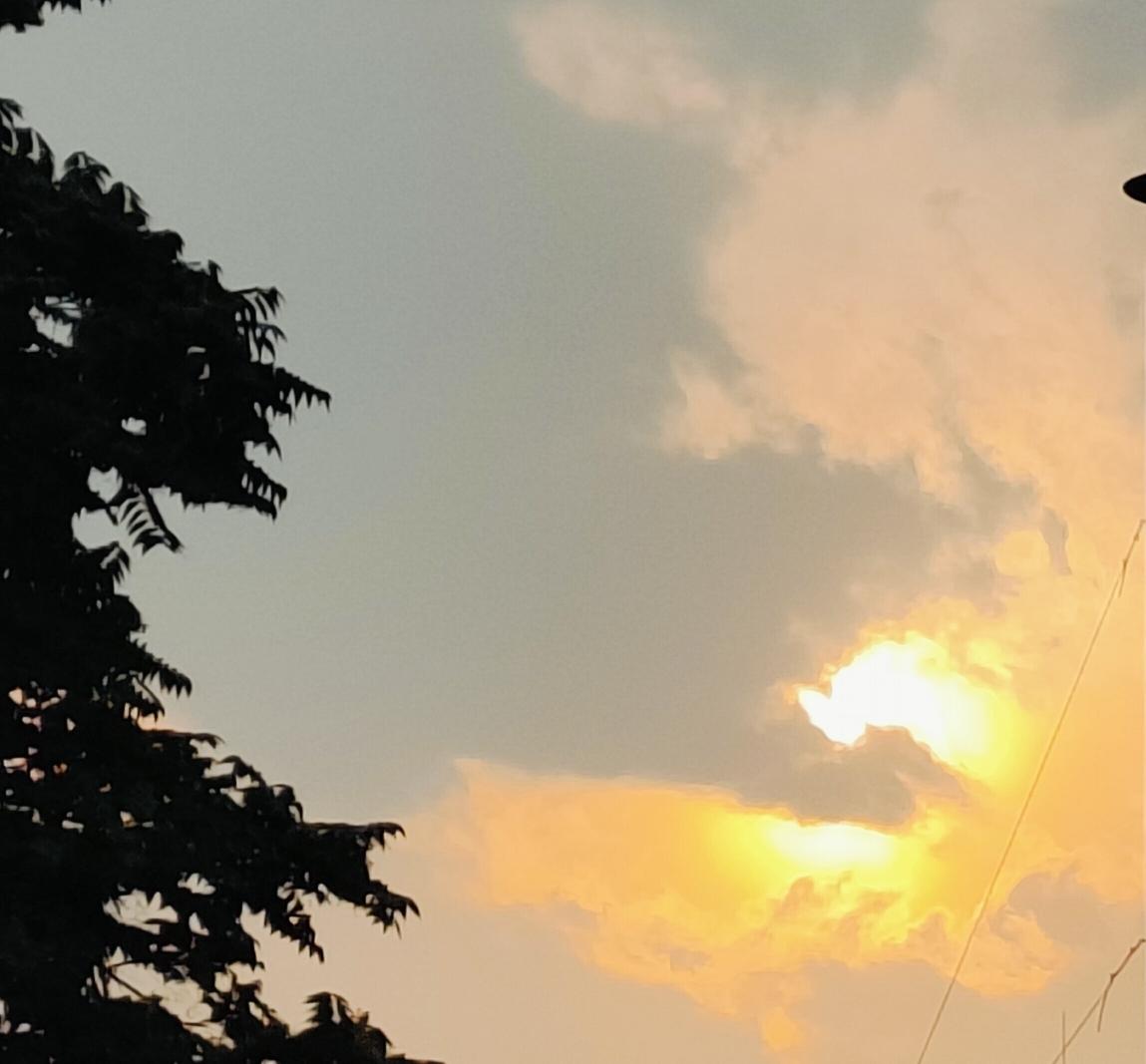 最近看到不少消息说乌克兰的无人机很厉害，打的俄罗斯有点招架不住了。有不少人开始唱