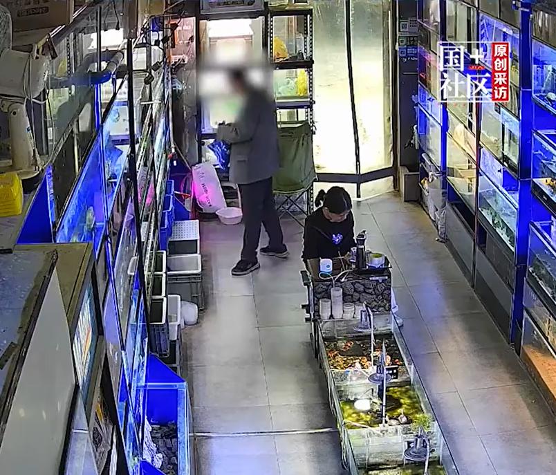 这位大爷是真爱这只乌龟啊，一连几天都来店里围着乌龟转，终于下手了！前不久，陕西