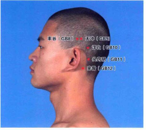 浮白穴——白发“转黑”经验穴，每天按一按，白发少、黑发多！大家好，我是