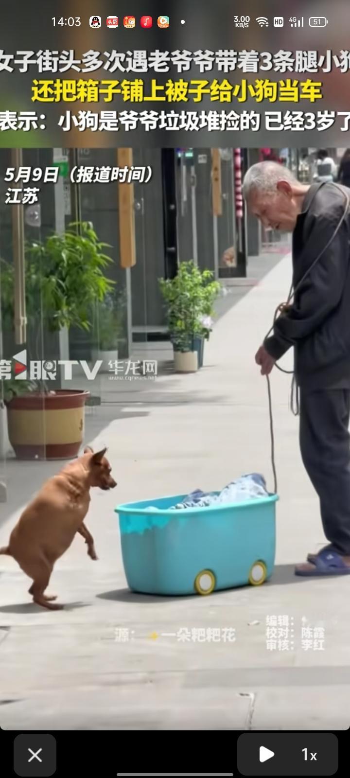 5月8日，江苏无锡。网友晒视频称，自己在街头多次遇到大爷带着三条腿的小狗，还把箱