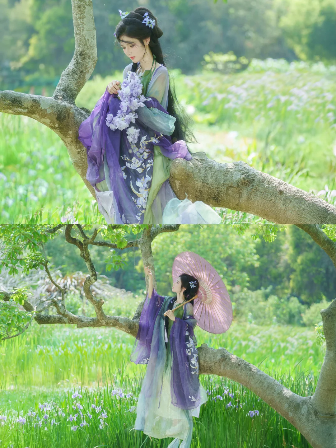 客｜鸢尾花｜南宁约拍