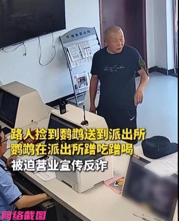 湖北襄阳有男子偶然捡到只鹦鹉，最后还送至到派出所内，可这只鹦鹉在派出所里一点不吃