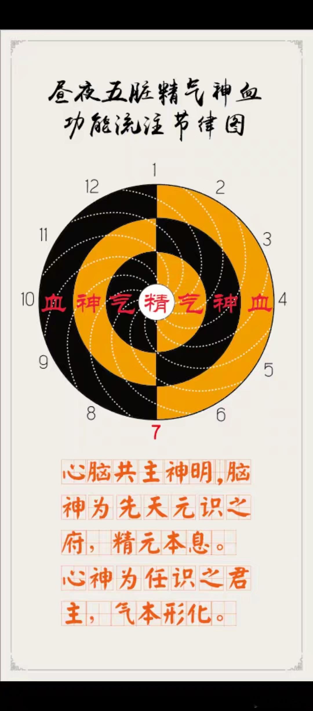 中医讲阴阳讲气讲精气神精气神是生命生理功能的高度构成支持管理精华最根本。精气