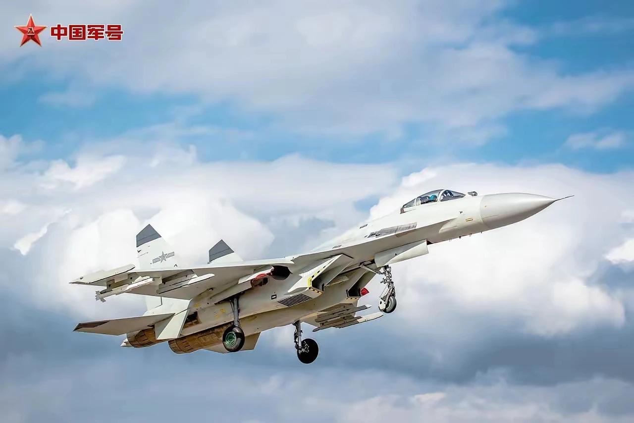海军航空兵向空军移交了多数战斗机，包括全部的歼-10和苏-30MK2，所有的战斗