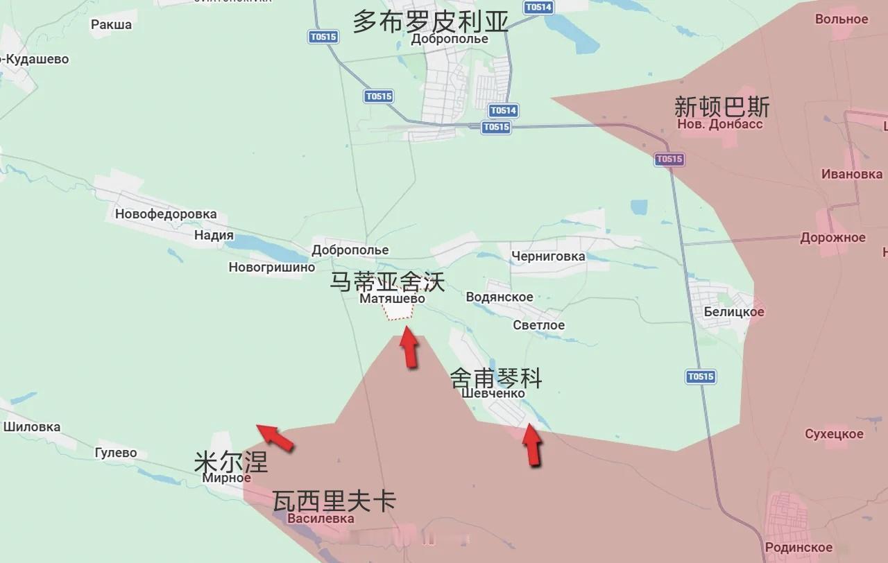 俄军中部集群部队占领了顿涅茨克的瓦西里夫卡后，正沿着多条路线向多布罗波利亚方向推