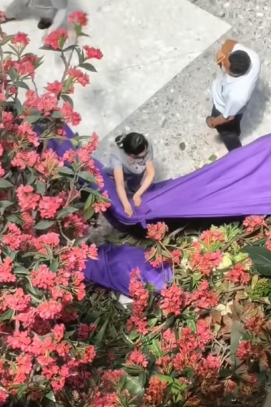 拉帘子这个女的最有发言权，因为她看到了，她听到了，相信只要是人，她会为她的行