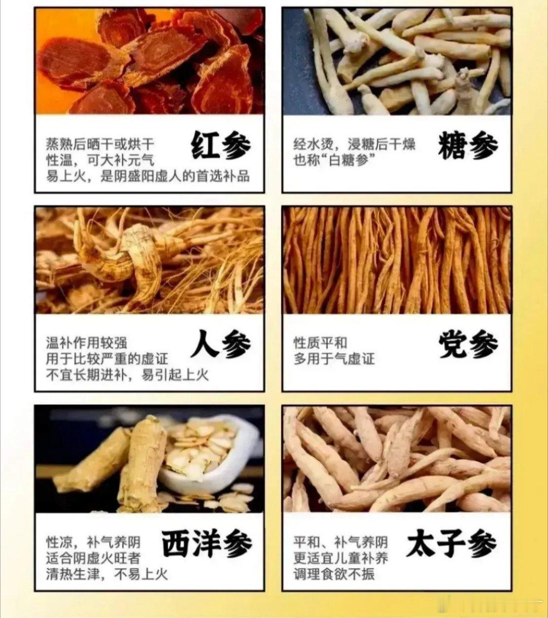 六种参的区别，儿童一般用太子参，保存吧​​​