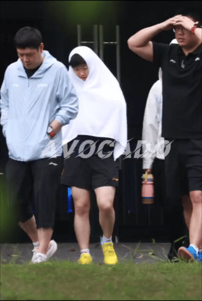 4.12日，看聪明的莎莎躲雨了。成都这几天一直在下雨，coco不愧是本地人，