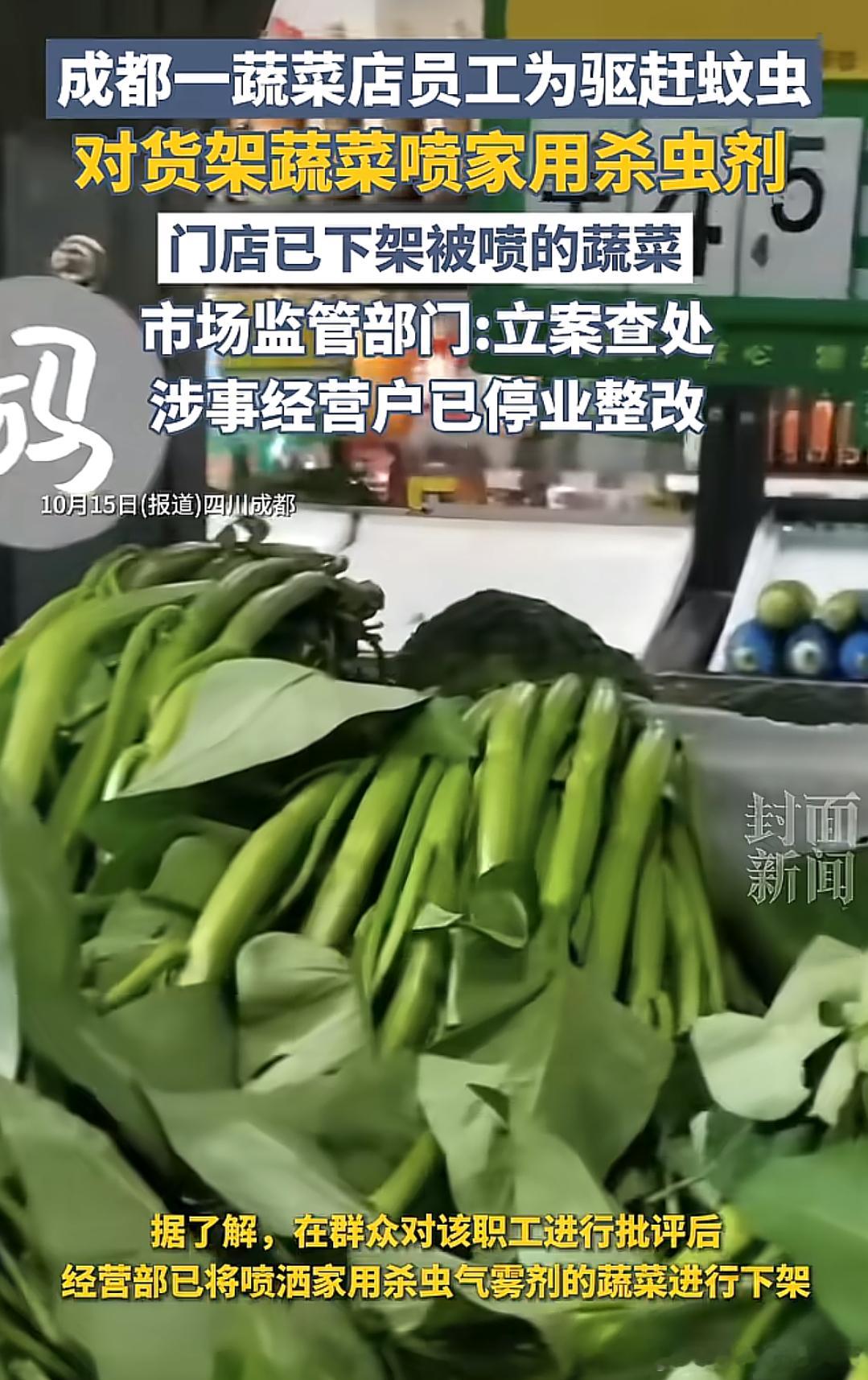 以后没有虫的蔬菜我不买，太可恶了！​​​