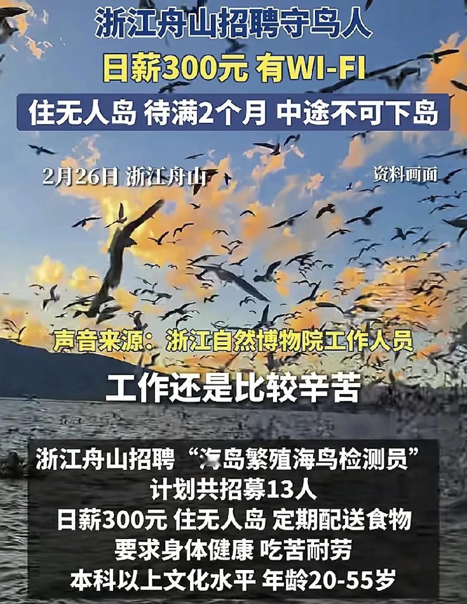 2月26日，浙江舟山官网发布招聘信息：海鸟检测员要求本科以上文化水平吃苦耐劳，日