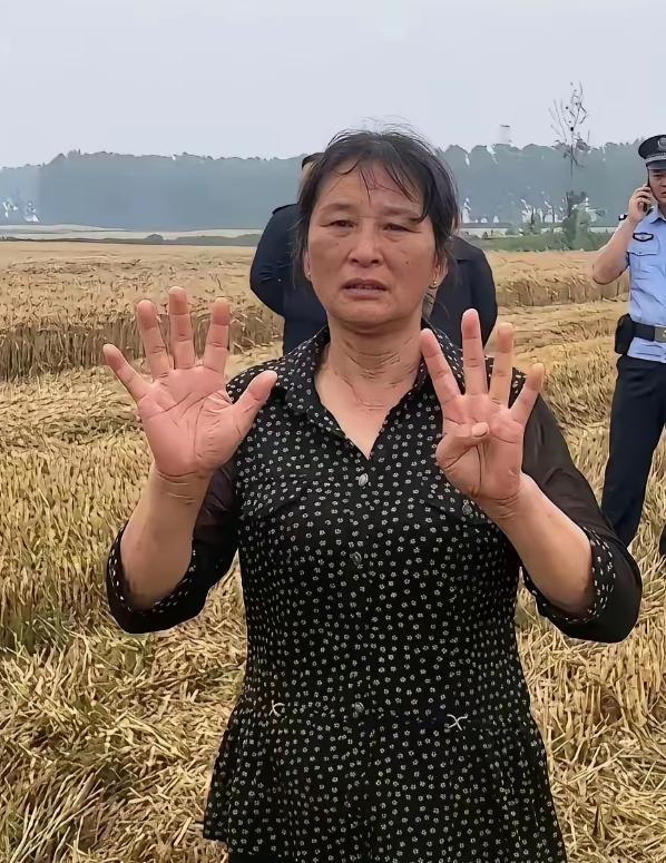 襄阳那位"割四赔五"的大妈，终于低头了。前阵子这事闹得沸沸扬扬，人家两口子大