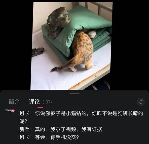 完蛋