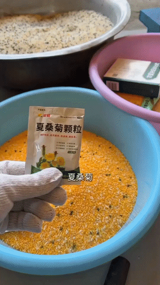 刚开始我还以为这是在配鸡饲料呢？结果竟然是在加工一种叫“康乐果”的玉米膨化食品