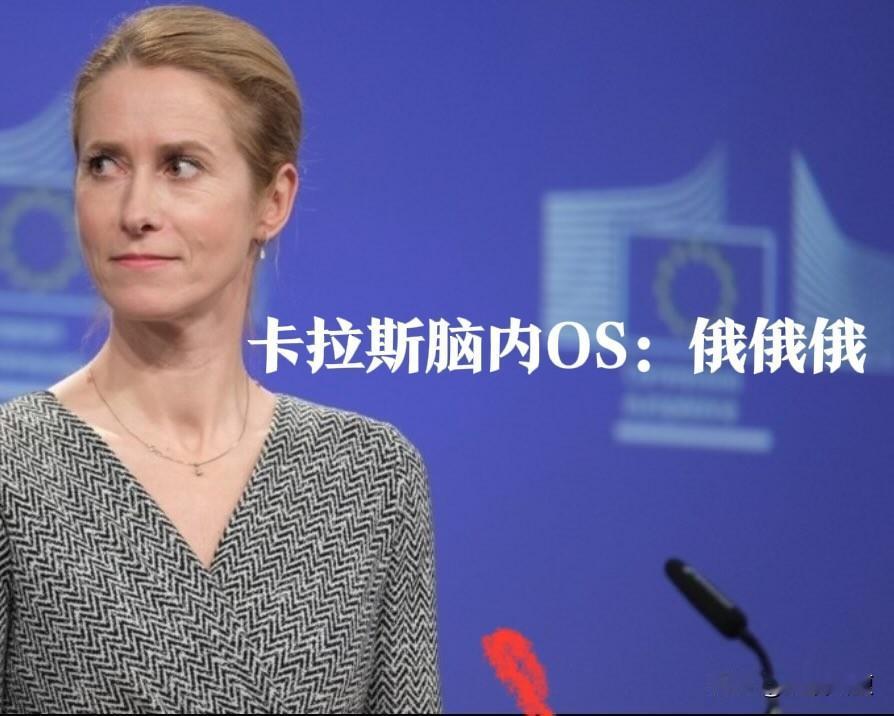 欧盟外长卡拉斯：乌克兰腐败丑闻【极其扼腕的】。听上去，欧盟原本是希望在战争结