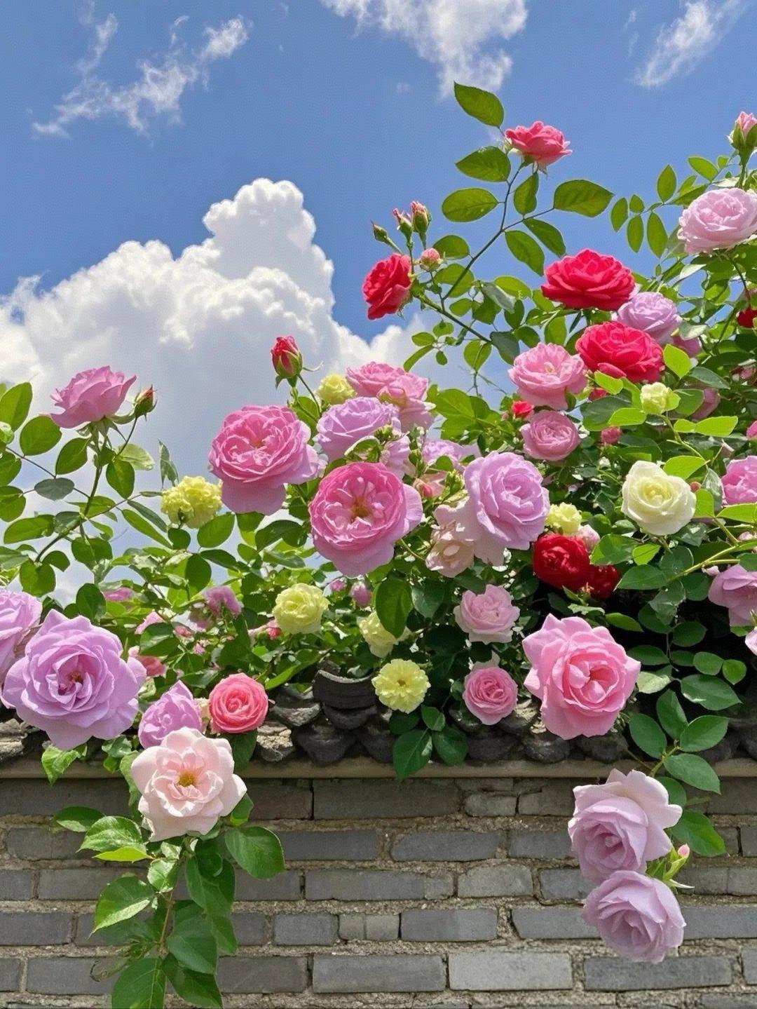 我有个好朋友，他家孩子今年读高三，现在不愿去学校了。我想，这样的孩子不止他一个，