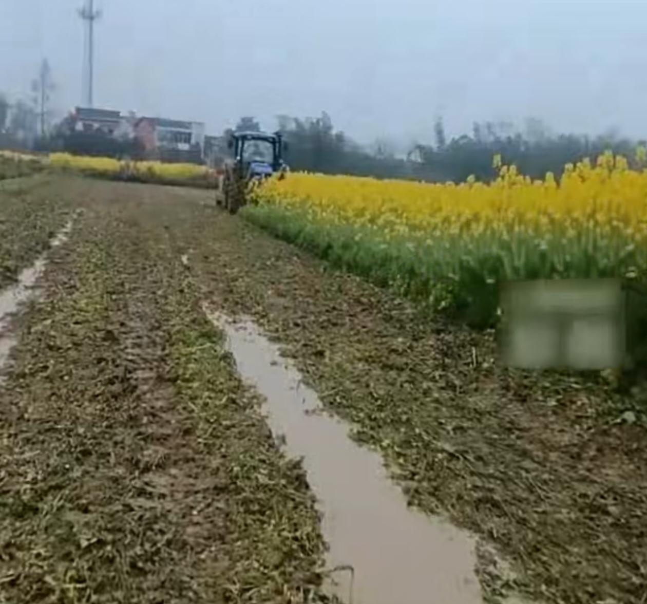 2026年3月20日，湖北省咸宁市赤壁市新店镇土城村六组发生高标准农田权属纠纷。