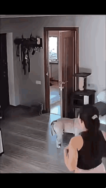 这下好了，这下有借口说不养了吧。