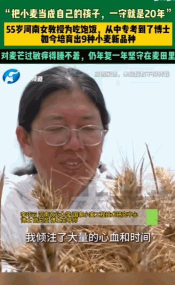 向英雄致敬！河南原阳的试验麦田里，一位55岁的女教授，顶着博士的光环，二十年如一