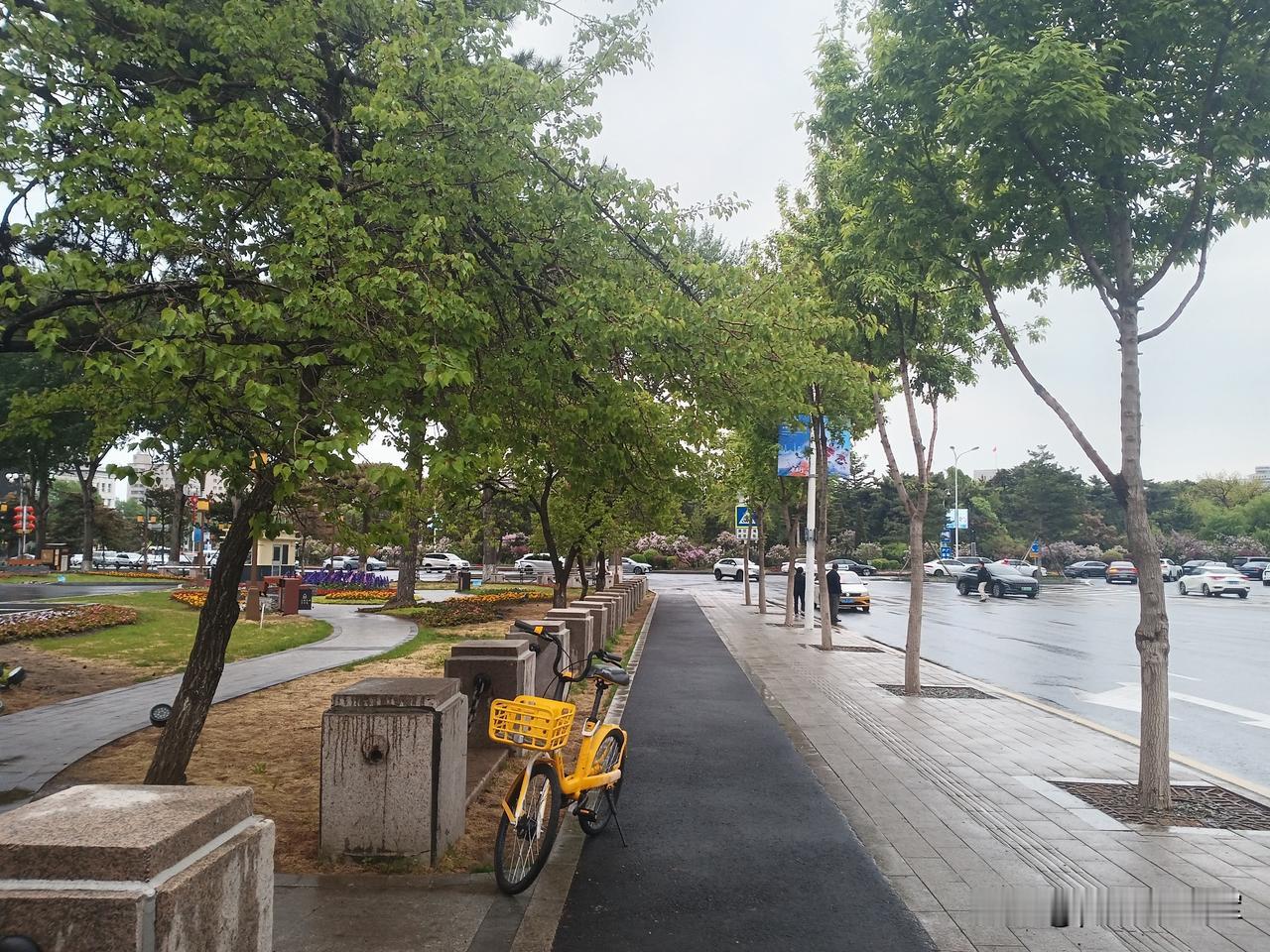 周末今天周日，早晨天就下雨，本来想早点去儿子家看孙女，看下雨就等雨停。今天是