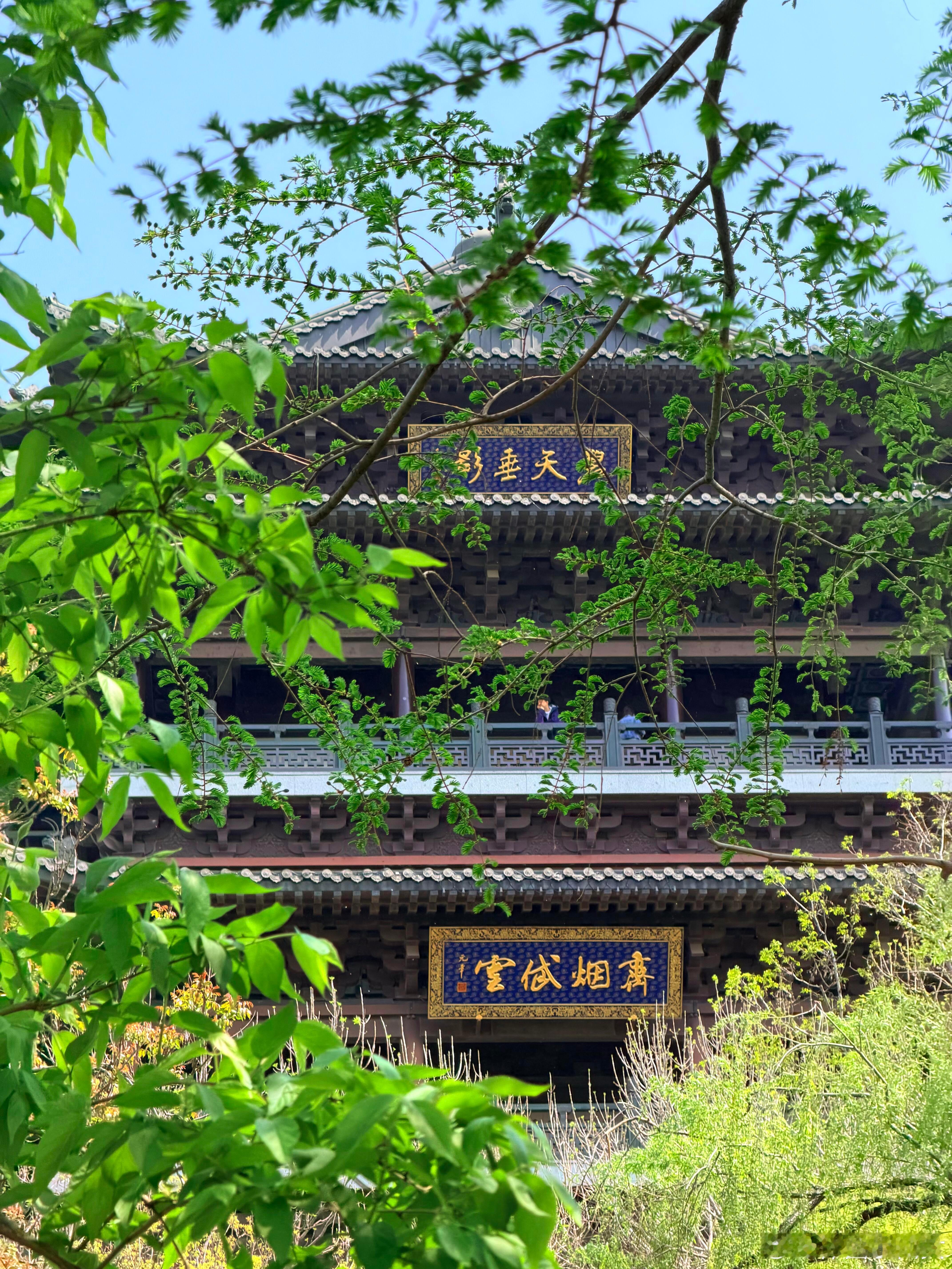 春风十里，不如济南有你如果问我济南的春天有多惊艳，答案一定是满目繁花铺满街巷，一