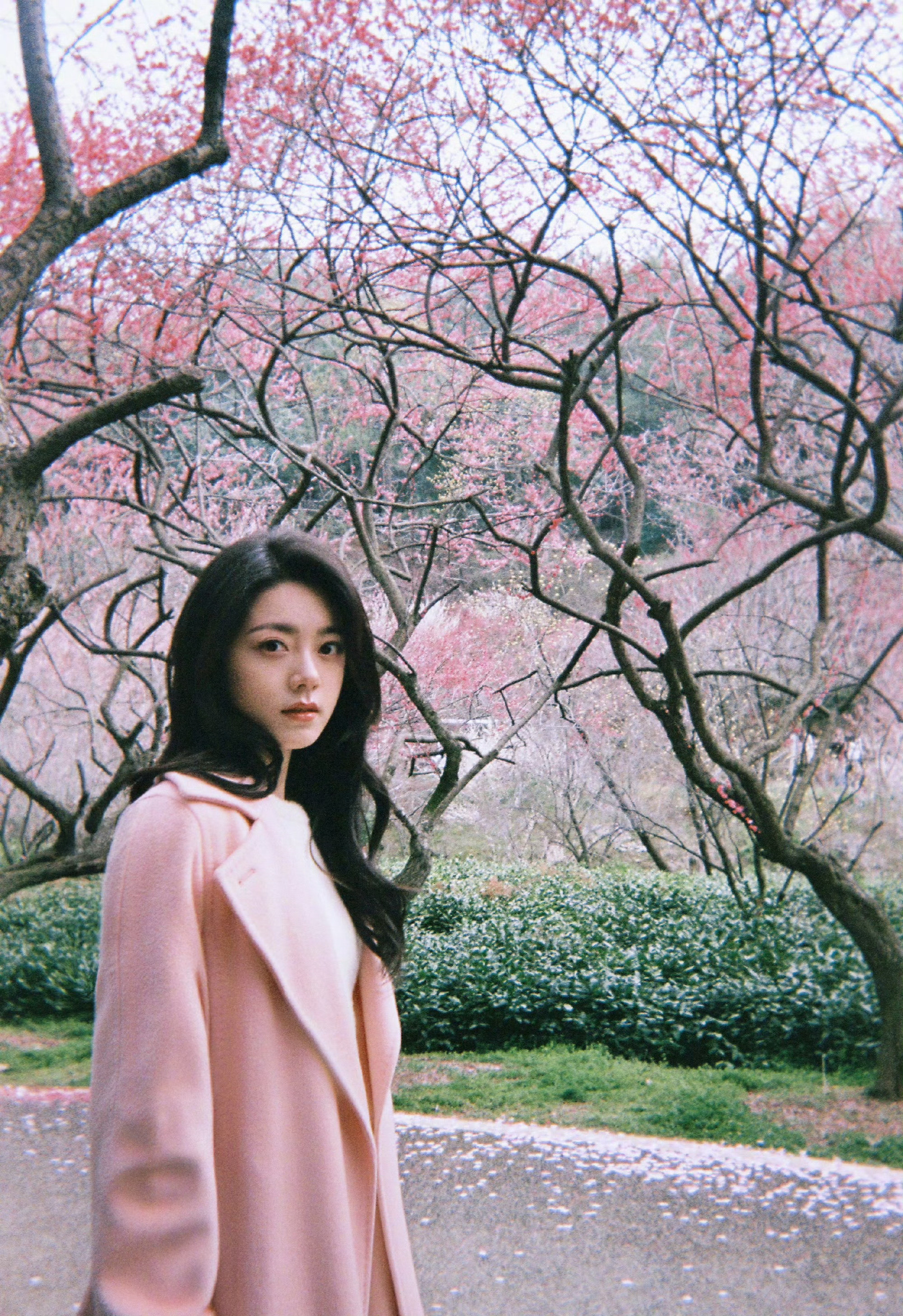 宋威龙拍的赵今麦好美！氛围感也很棒，很会拍嘛林屿森