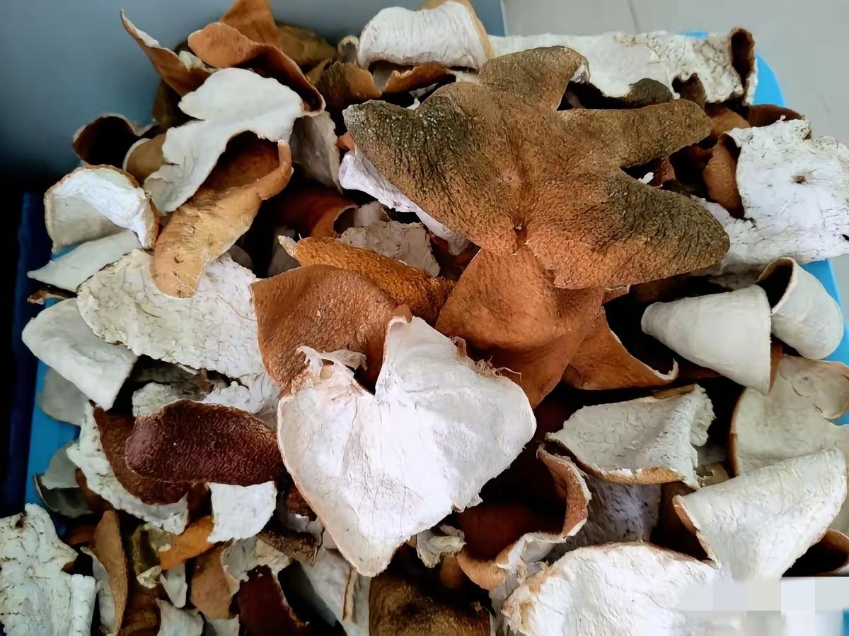 刚刷到个新闻，差点没把嘴里的水喷出来。​央视曝的，说有人拿晾了30天的桔子