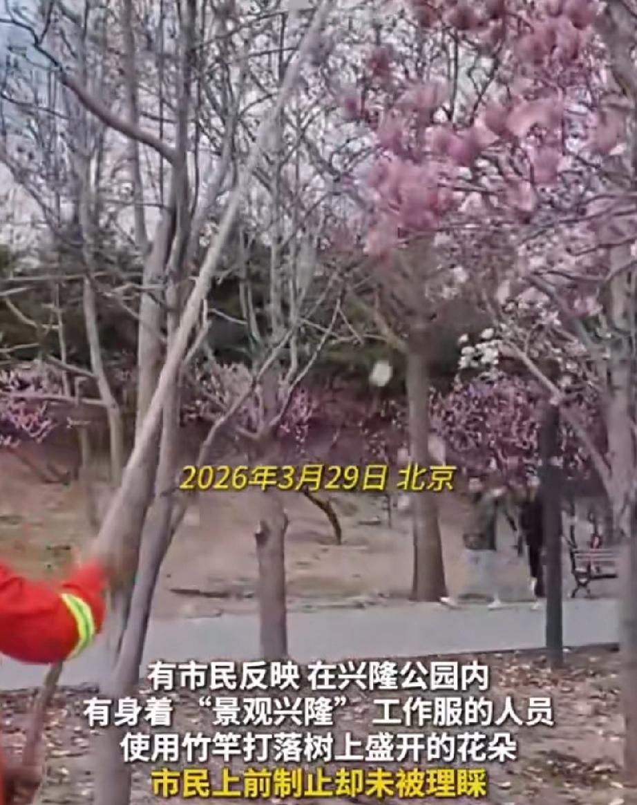 阳春三月，春暖花开，不少市民纷纷到公园欣赏鲜花盛开的美景。3月29日，北京市民