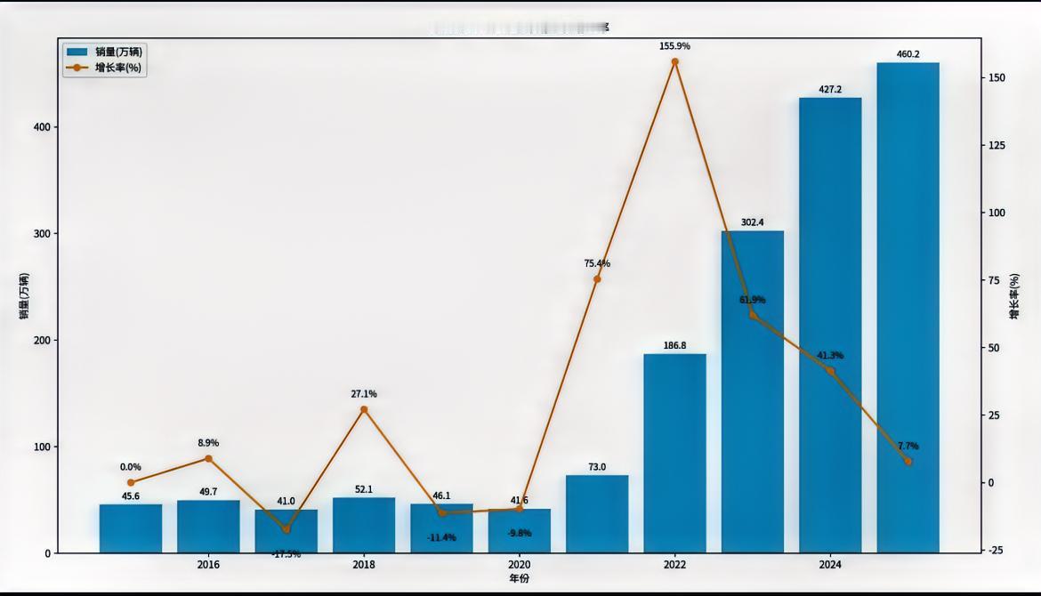 比亚迪近十年销量变化情况。从2022年开始，得益于刀片电池和DM-i超级混
