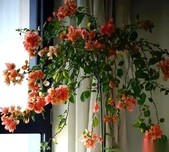 “你妈衣柜里那么多棉袄，你先将就一下！”婶婶的话，直愣愣砸过来。我手里端着的茶杯