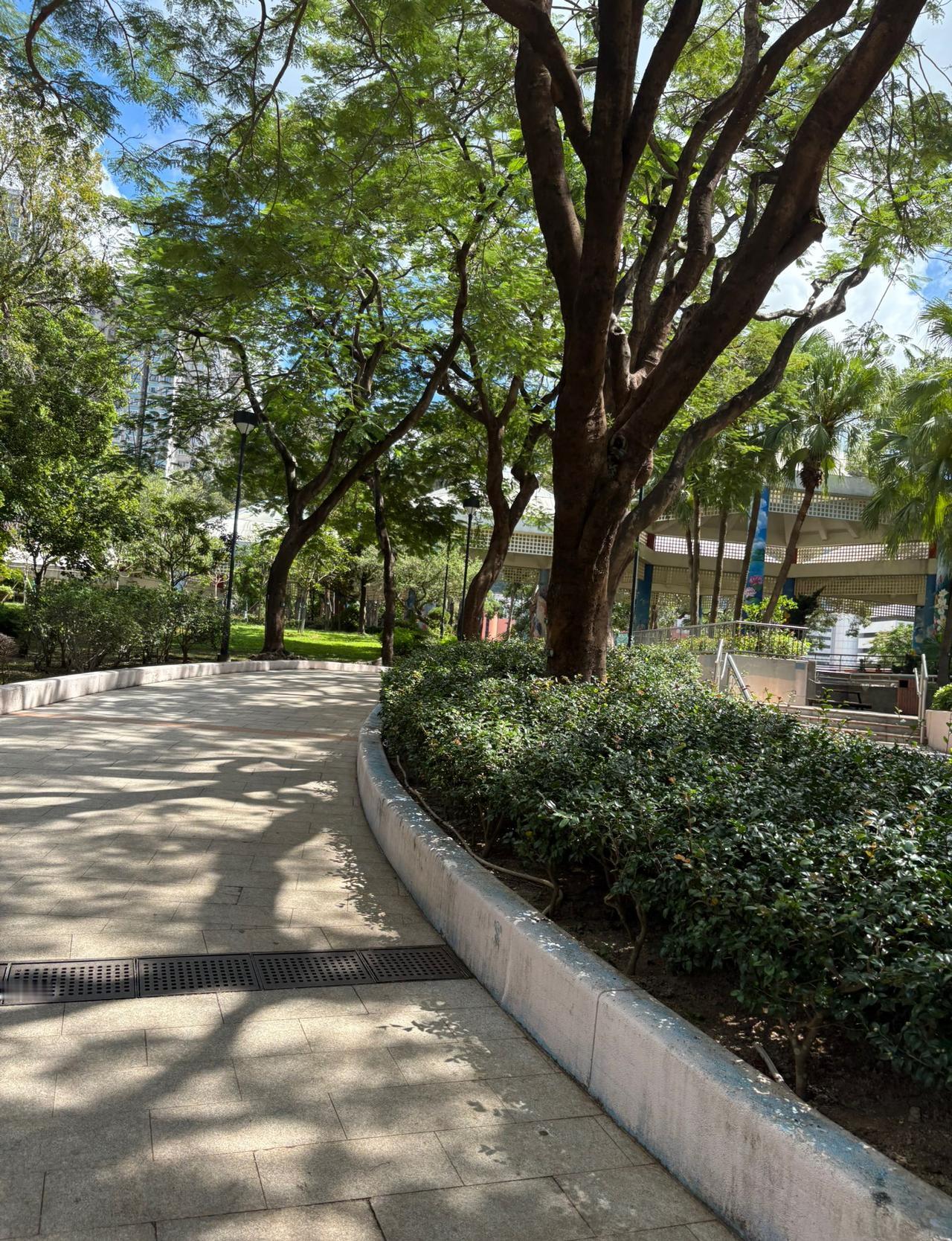 昨天和一个朋友聊天，说到现在的00后，为什么这么任性？为什么很多人都不考虑谈恋爱