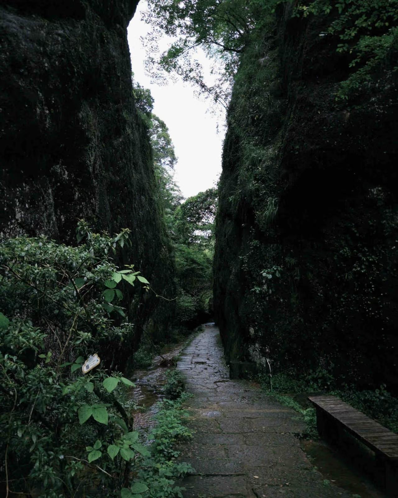 武夷山，看图找垃圾桶[捂脸哭]