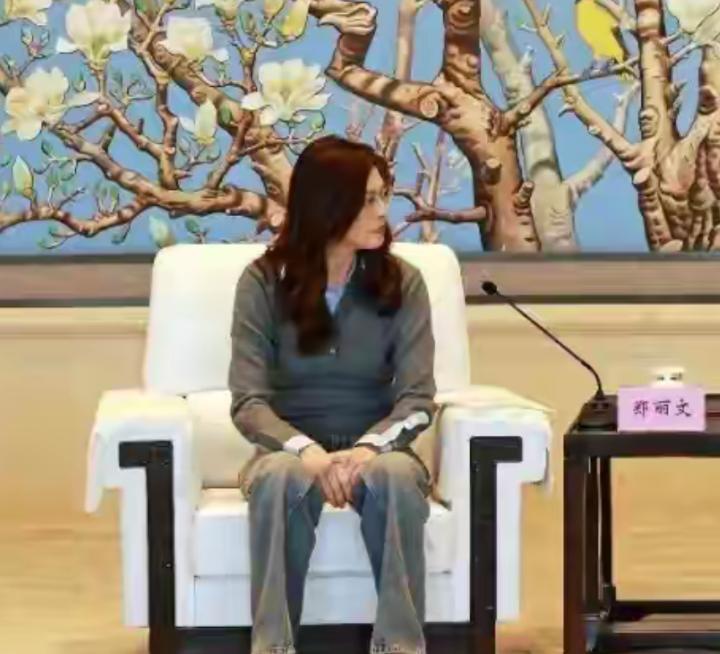 通水通电通桥！郑丽文访问最后一天，大陆发布实质性措施4月12号是郑丽文此行访