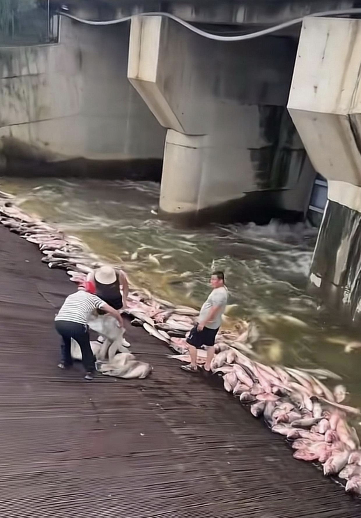 做梦都不敢这么做