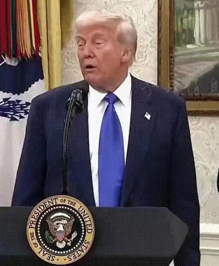 特朗普说了实话,二战胜利跟法国没什么关系,法国是最先投降的,我是真搞不懂,一个在