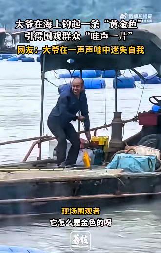 运气真好！福建宁德，一大爷在海上钓鱼，突然鱼竿出现抖动，起初还以为是一条普通的鱼