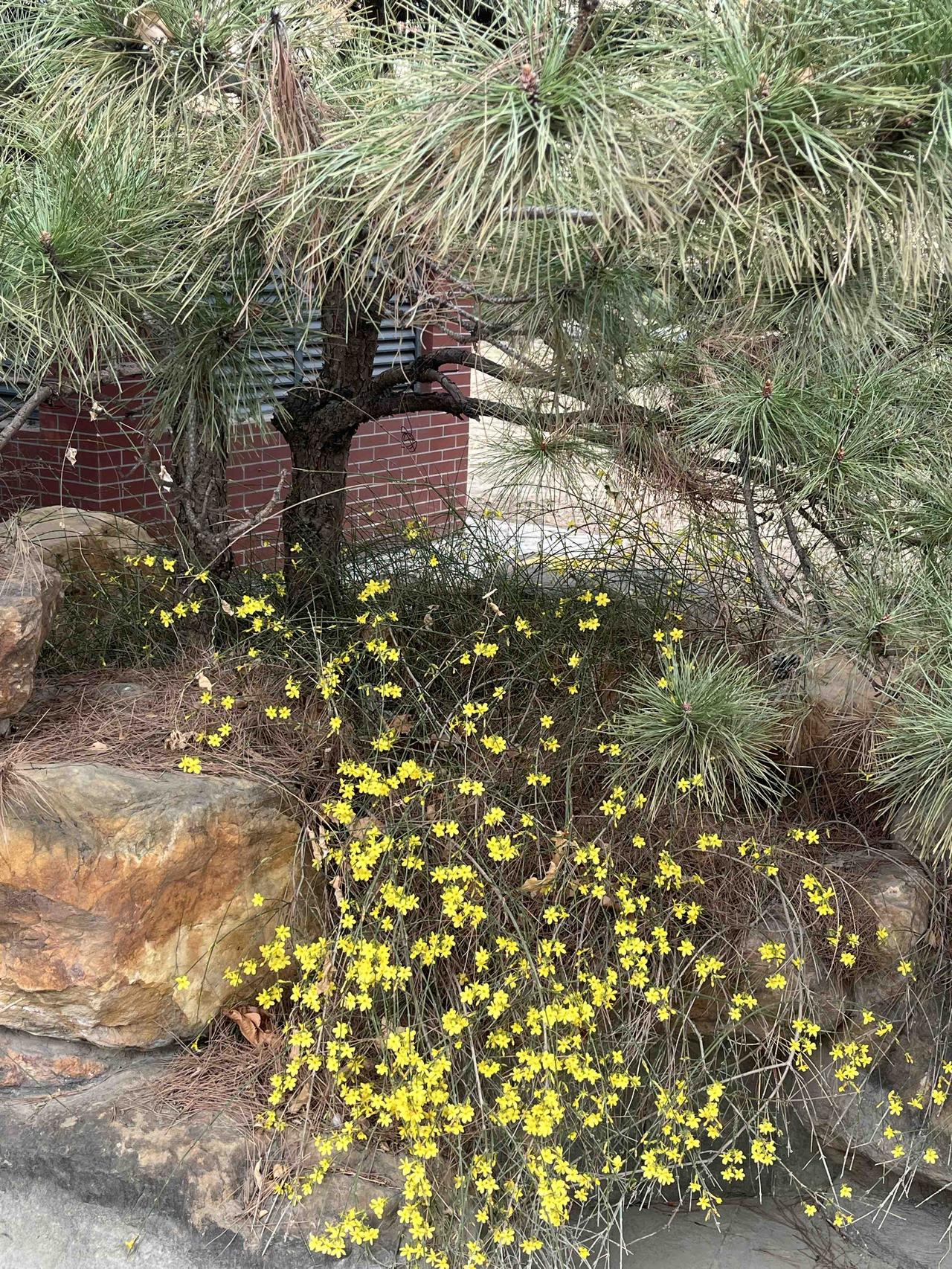 北京房价会一夜之间暴涨吗？看完这篇文章，答案自然来！进入小阳春以来特别是后程