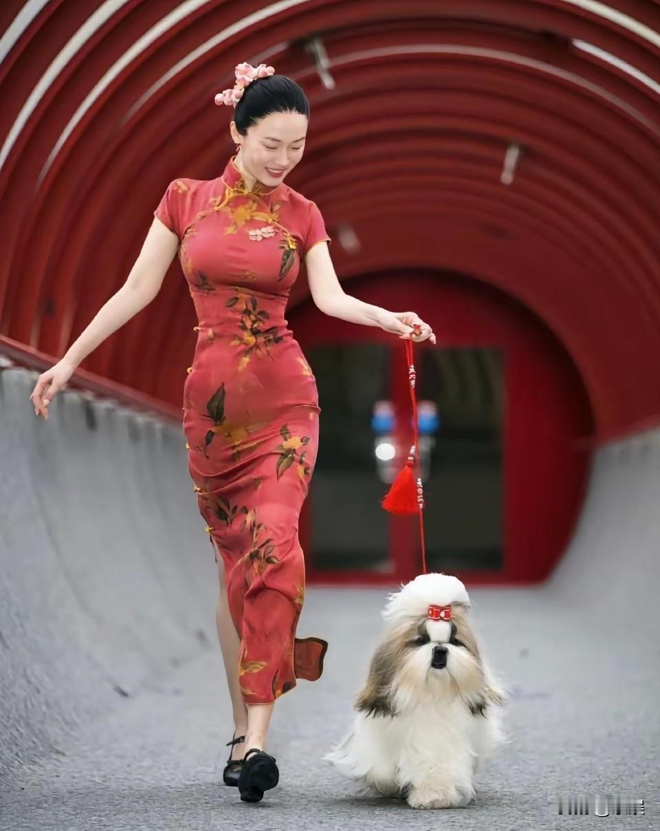 霍思燕瘦了，她的爱犬像她一样优雅！厉害！霍思燕的爱犬在国际犬展拿下冠军，她自己