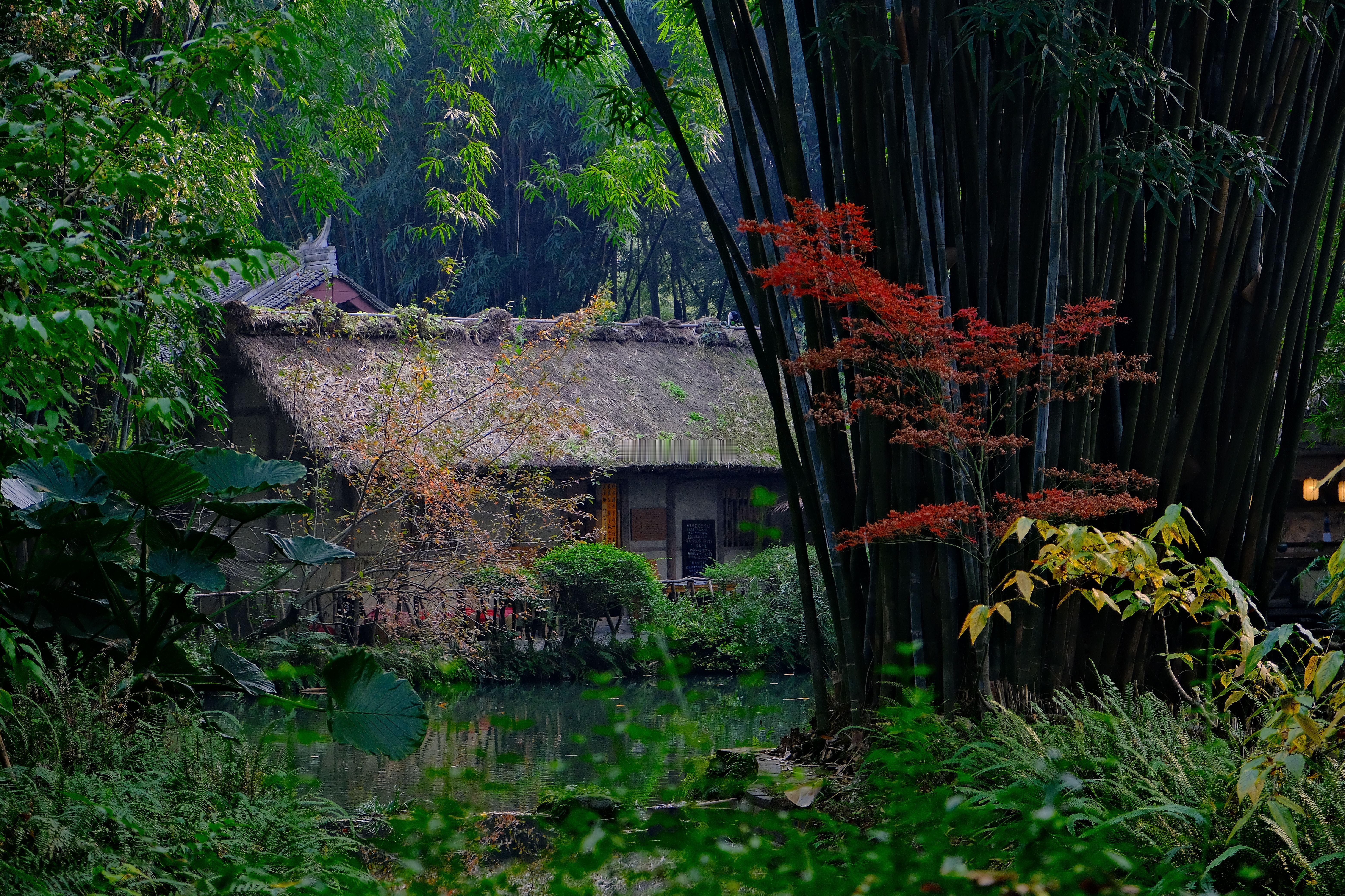 江山风月，本无常主，闲者便是主人。——苏轼《临皋闲题》​​​