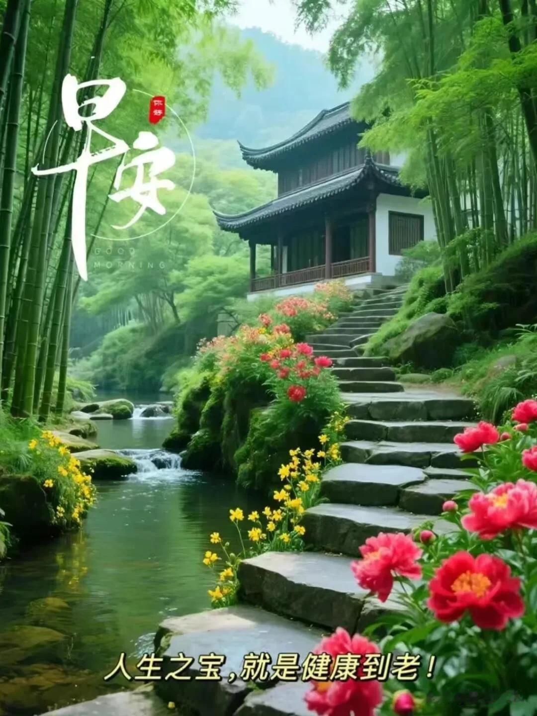  早安！新的一天，愿阳光洒满前路，所有美好如期而至。