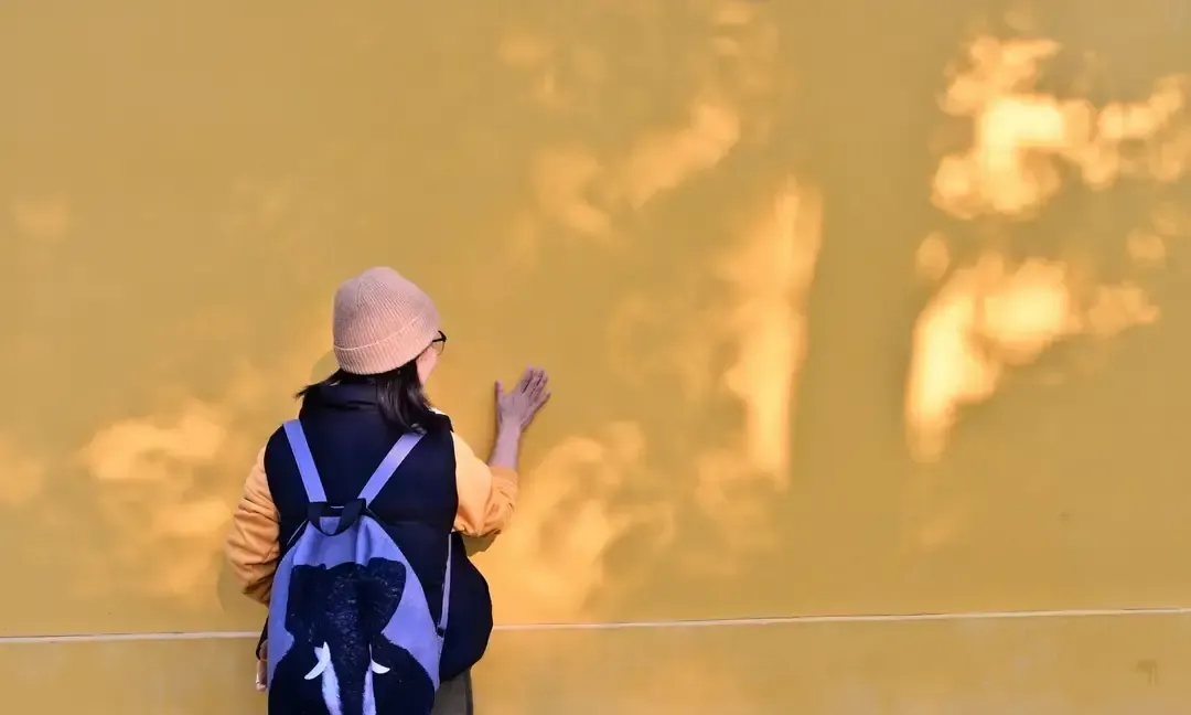 城市写字楼里三十好几的姑娘被叫剩女，村里三十好几的小伙被喊光棍，两边都...